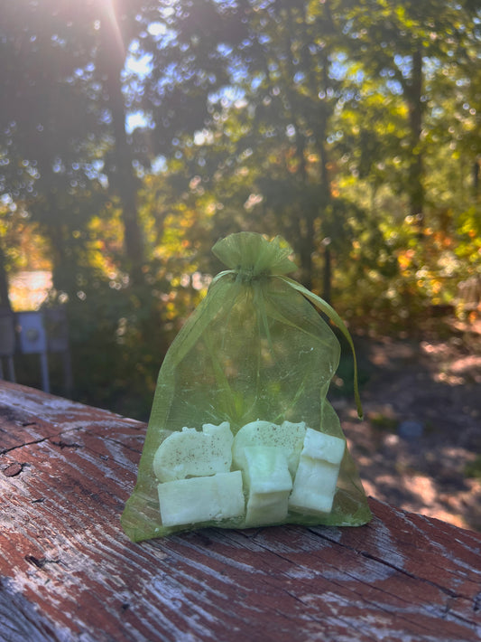 Cat-Shaped Wax Melts