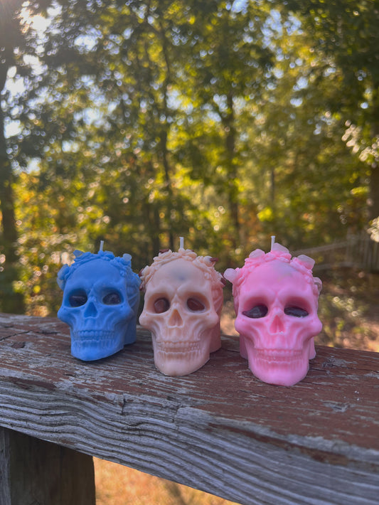 Skull Collection