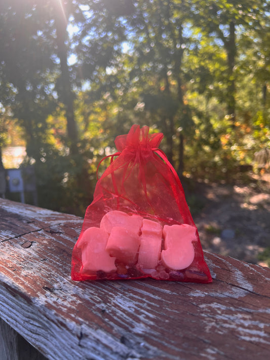 Cat-Shaped Wax Melts